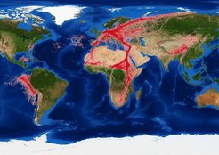 With Icarus, researchers can follow the movements of many thousands of animals worldwide - around the clock.