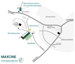 Location map MaxCine