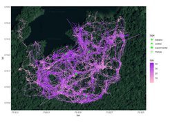 The movement of the kinkajou Molly plotted as a continuous path over satellite imagery of Barro Colorado Island. The color of the path transitions from pink to purple over the nine weeks in which the data were collected. Green shapes indicate locations where different fruits were hoisted into the canopy each night, following an experimental schedule.