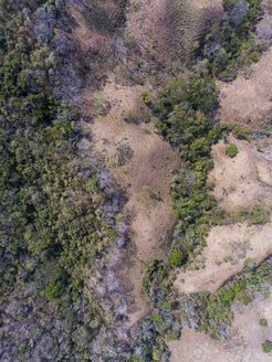 Fragmentierter Wald angrenzend an Viehweiden in Panama.