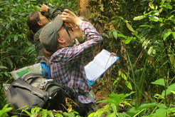 Caroline Schuppli in the field collecting data.