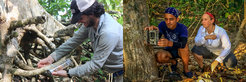 Left: Brendan Barrett setting up a hair trap. Right: Claudio Monteza-Moreno and Meg Crofoot installing a camera trap.