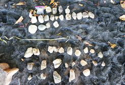 Collection of used hammerstones
