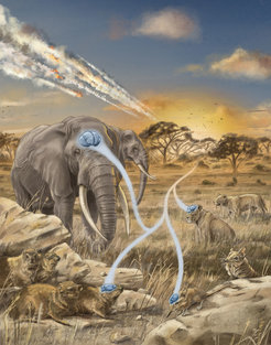 Major extinction events have given rise to present-day differences in relative brain size.