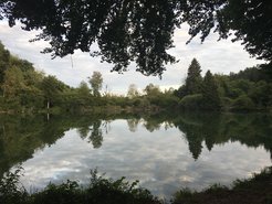 Buchensee around Konstanz
