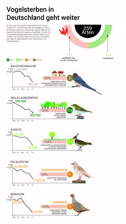 Auswahl einiger besonders stark zurückgegangener Brutvogelarten in Deutschland.