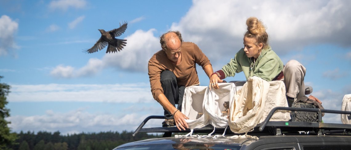 Control of migration: Should I stay or should I go? | Max Planck Institute of Animal Behavior Control of migration: Should I stay or should I go? | Max Planck Institute of Animal Behavior
