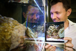 Alex Jordan administered the mirror test on cleaner wrasse in order to test the cognitive capacity of social fish.