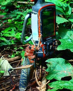 At Lomas Barbudal, movement data is collected using handheld GPS devices. Here, our smallest field assistant is helping track the monkeys ;-)