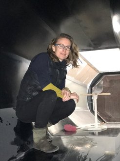 Professor Emily Shepard