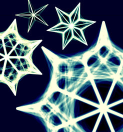 Computer simulations show that the same geometric principals govern spatial decision-making in animals as diverse as insects and fish.