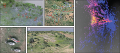 Computer vision provides a powerful means to study animal behavior in the wild. A) We use drones to film animals from above, and have developed machine learning software to detect animals in each frame. B) Each individuals’ location is linked across video frames to generate trajectories. C) We can automatically estimate the body posture of each animal. D) We simultaneously map the environment in 3D giving vital context to animal movements and decision-making. E) In addition, we reconstruct individuals’ visual fields; rays are cast from their eye positions to the 3D environmental surface (colored areas). In this example, blue areas represent terrain and vegetation seen only by the peripheral vision of a zebra; pink and yellow areas are seen by binocular vision, with warmer colors denoting areas visible to more individuals
