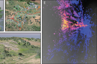 <strong>Collective Behavior for Conservation: Multi-scale Imaging of Endangered African Megafauna</strong>