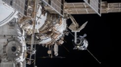 ICARUS antenna on the International Space Station
