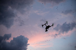 Scientists are harnessing technologies such as drones to preserve wildlife.