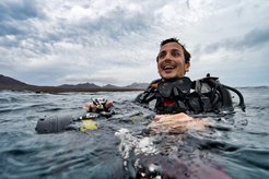Eduardo Sampaio was able to observe octopuses mating. He also conducted mirror experiments with these fascinating creatures in their natural environment.