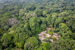LuiKotale field station