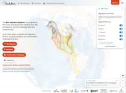 The new Bird Migration Explorer is the first free, interactive digital platform to combine multiple types of migration data for species found in the U.S. and Canada and explicitly draw connections made by individual birds across the hemisphere.