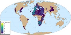 Number of species