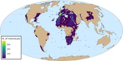 Number of individuals