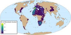 Number of movebank studies