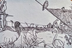 Line drawing of birds in grasses v