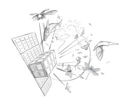 CubeSat mit Blick auf Erde und Tiere