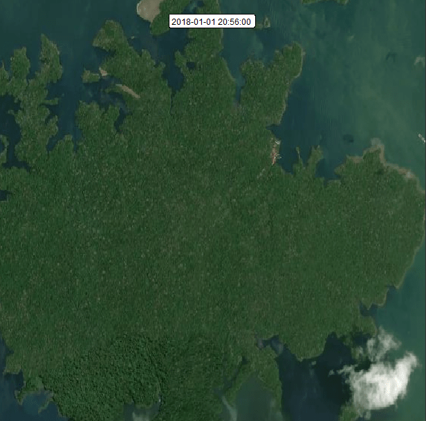GIF showing colourful tracks of animal movement over the rainforest canopy