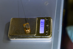 Tiny new tags make migration tracking possible.