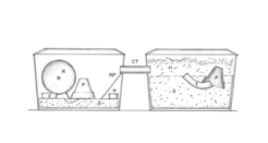 Even though we keep the shrews at ambient conditions in large, enriched cages, they show strong captive effects (drawing by Javier Lazaro)