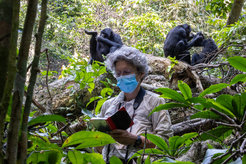Barbara Fruth with bonobos