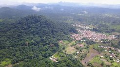 Drone view of forested mountain