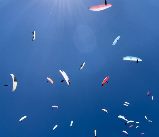 Exploiting dynamic resources for optimal movement in soaring flight Exploiting dynamic resources for optimal movement in soaring flight