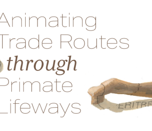 Animating ancient trade routes through primate lifeways