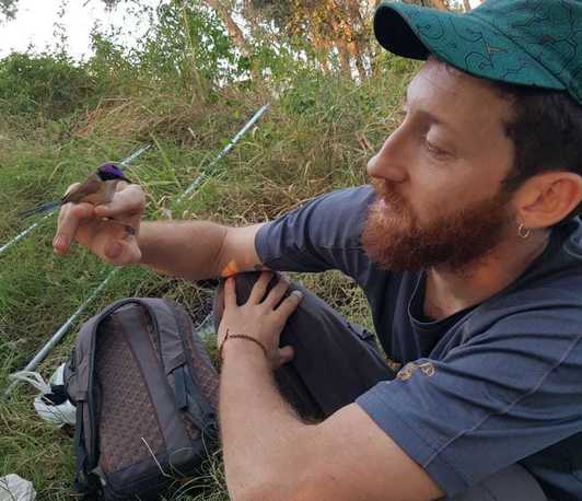 The Multilevel Society of a Cooperatively Breeding Songbird 