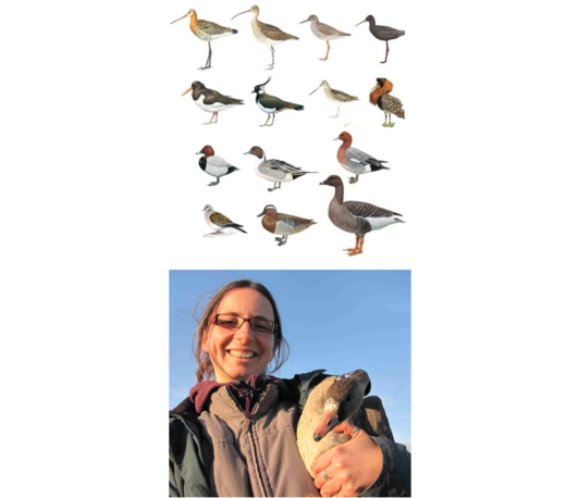 Habitat tracking for the conservation of huntable birds species Habitat tracking for the conservation of huntable birds species