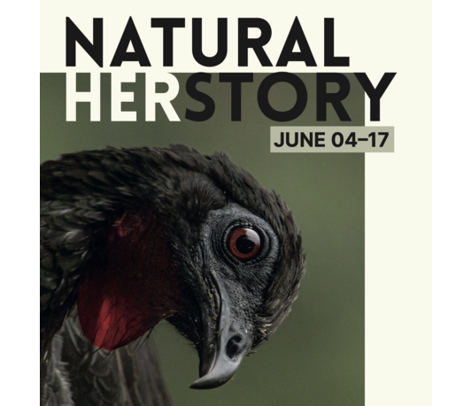 Natural Herstory