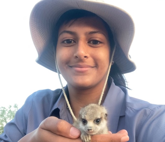 Environmental temperature affects the behaviour and physiology of small mammals in the Kalahari Environmental temperature affects the behaviour and physiology of small mammals in the Kalahari