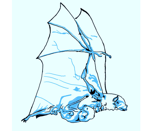 Timing the hunt: Ephemeral resource strategies of bulldog bats in energy-demanding reproductive phases Timing the hunt: Ephemeral resource strategies of bulldog bats in energy-demanding reproductive phases
