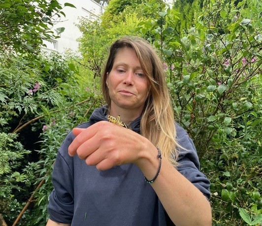 Sensory processing and decision making in a social context: From odors to swarm motion in insects